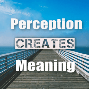 Perception Creates Meaning